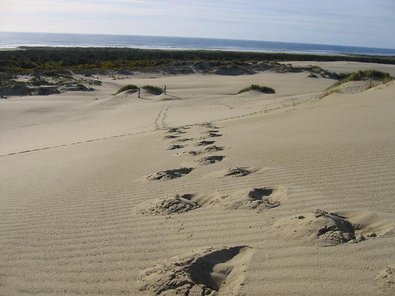 Oregon Dunes (4).JPG